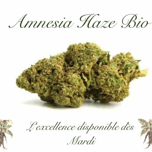 Amnesia Haze 12% CBD